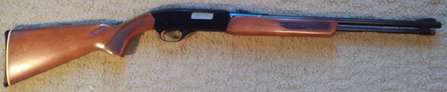 Winchester 270.jpg