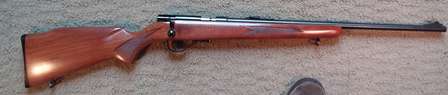 Winchester 320.jpg